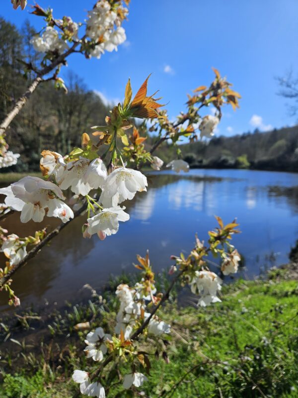 Nature Photography - Image 11