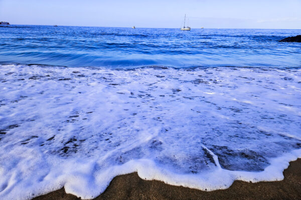 Nature Photography - Image 10
